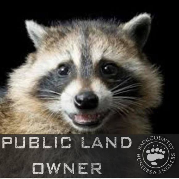 Meet your Posher, Nicholas - Picture 1 of 1